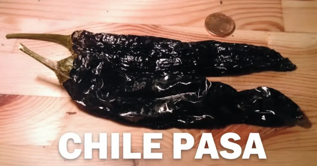 CHILE PASA