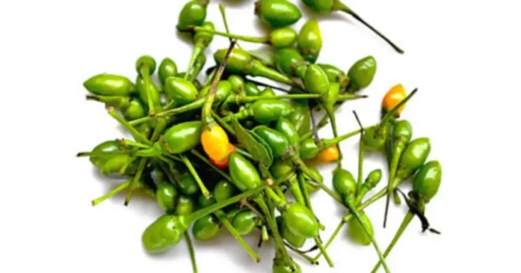 How Chiltepe Stacks Up