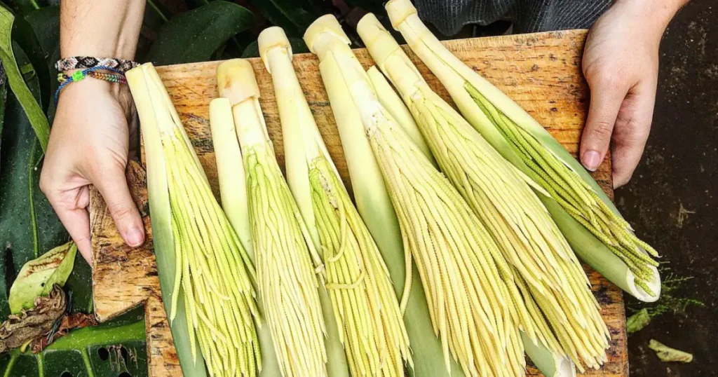 Experience the Unforgettable Taste of Pacaya
