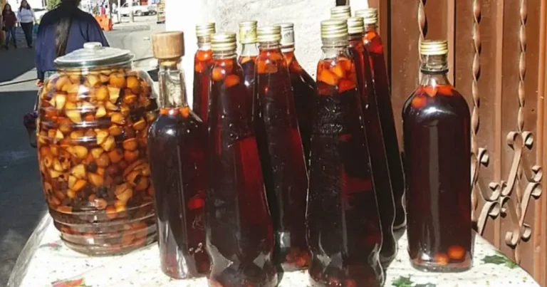 CALDO DE FRUTAS DE SALCAJA