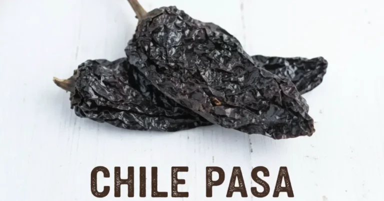 CHILE PASILLA