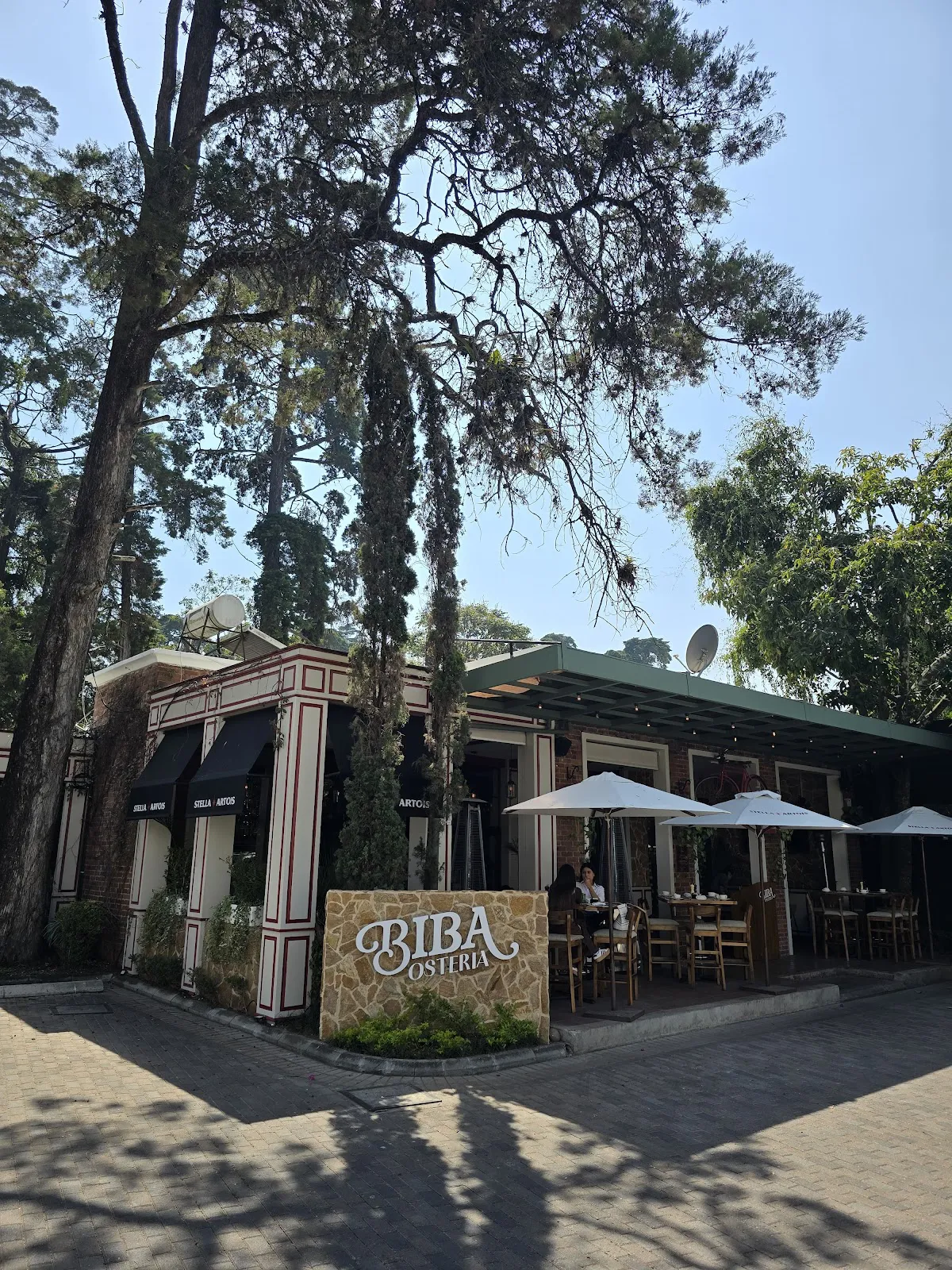 Biba: A Culinary Gem in Ciudad de Guatemala - Ciudad de Guatemala, Guatemala - Photo 4