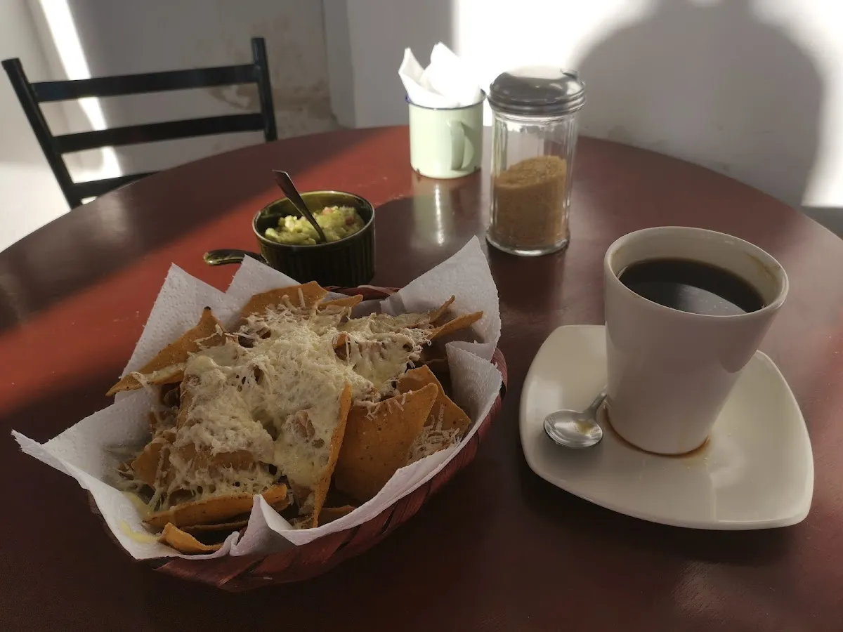 Café Mirador San Miguel: Nature y Good Food Experience