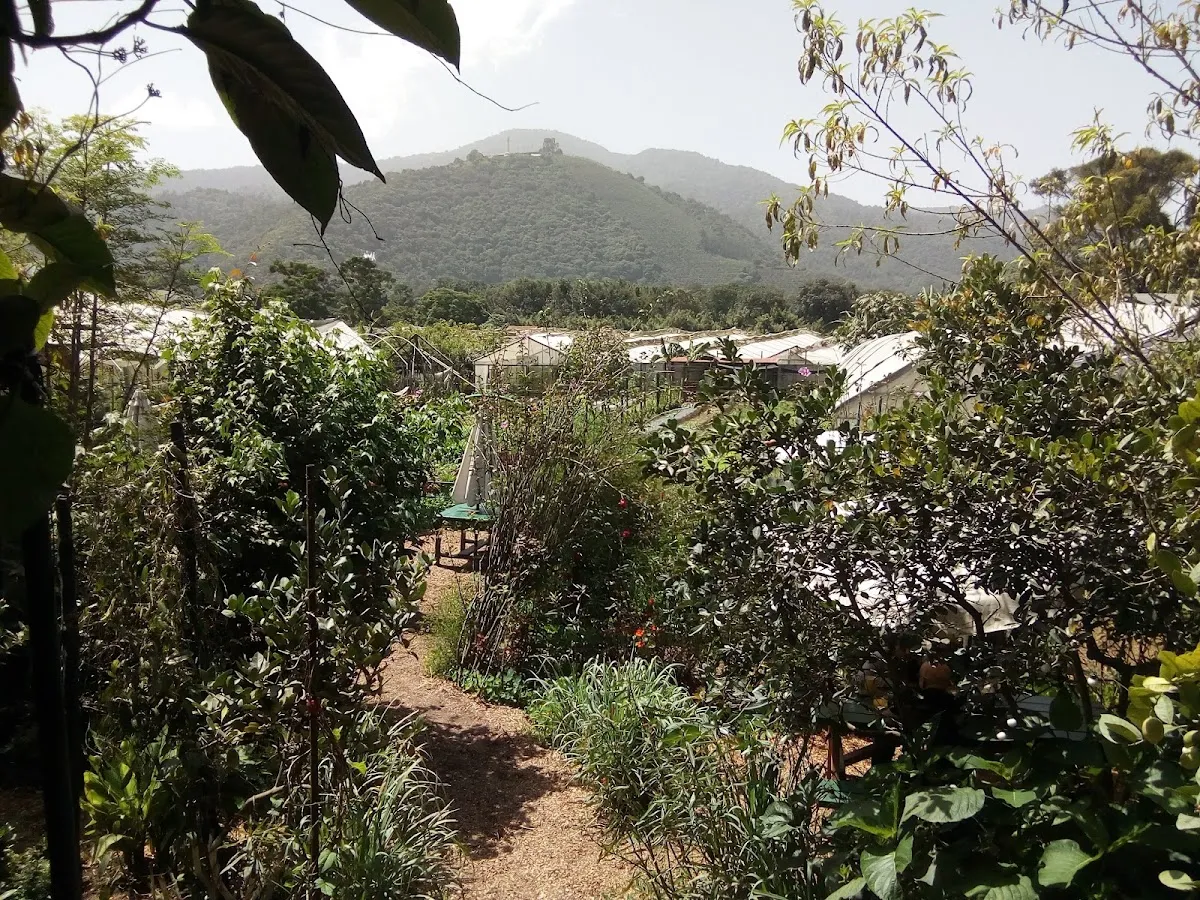 Caoba Farms Guatemala: Nature & Gourmet Experience Await!
