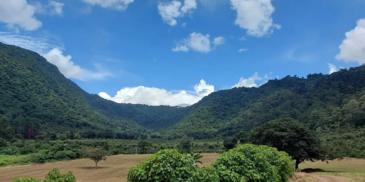 Carmona Trails: Deliciosa Comida en un Encantador Jardín