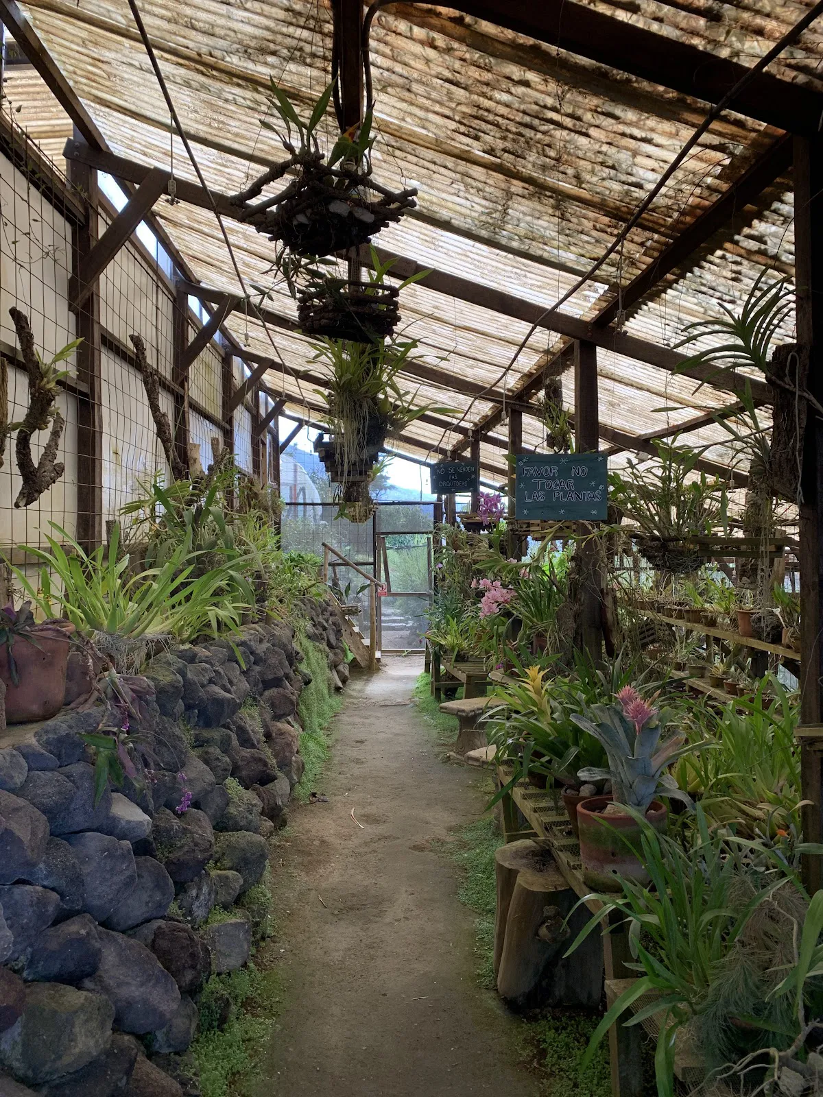 Cerro San Cristóbal: A Dining Gem in San Cristóbal El Alto - San Cristóbal El Alto, Sacatepéquez - Photo 4