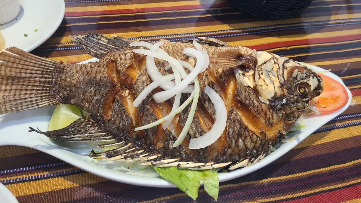 Discover El Lucerito: A Taste of Guatemala - San Rafael, California - Photo 2