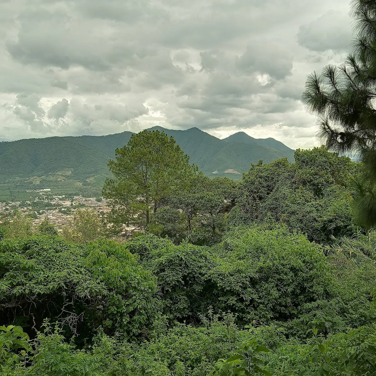 Discover El Tenedor: A Culinary Gem in Guatemala - Guatemala, Sacatepéquez - Photo 4