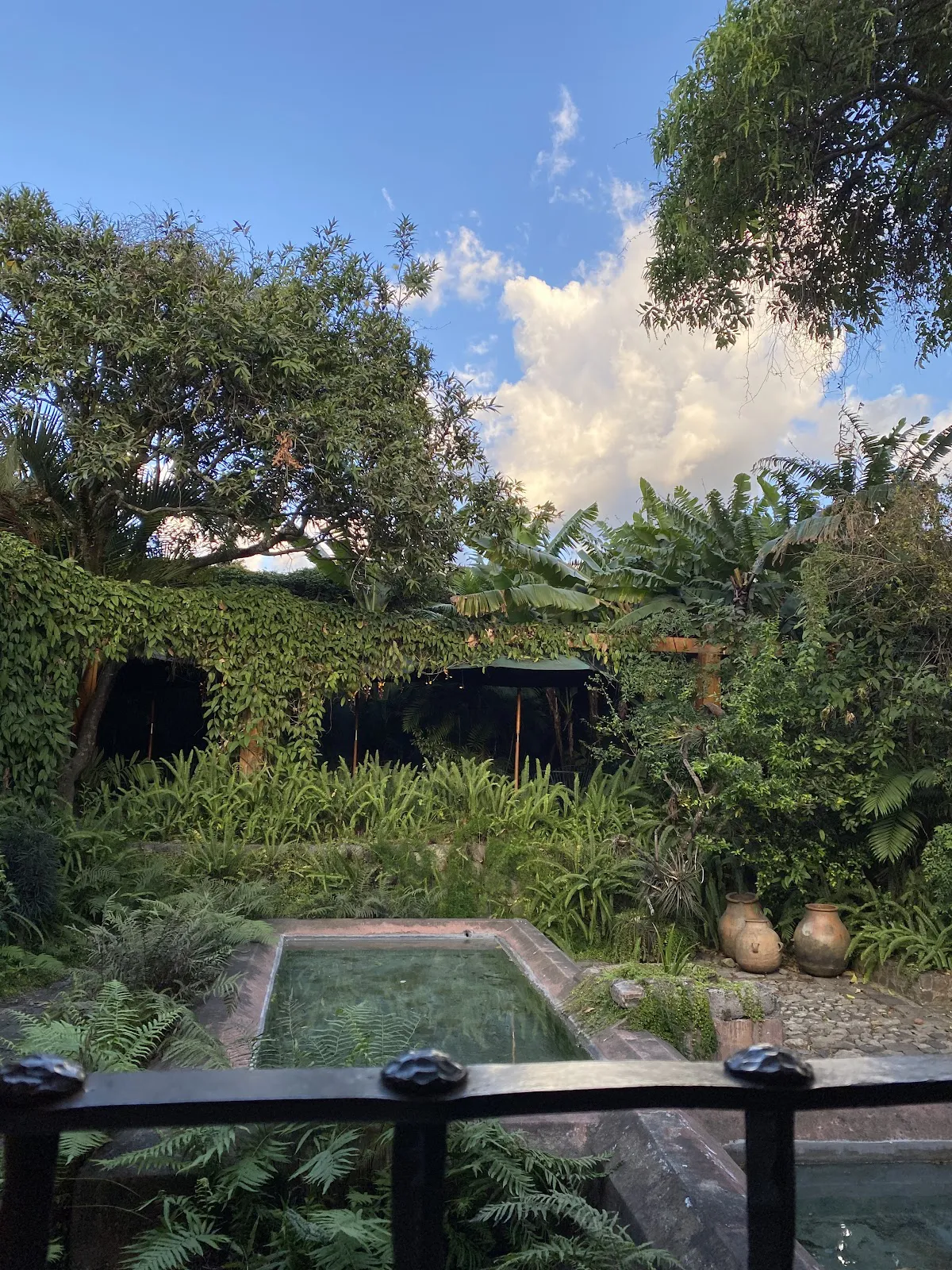 Epicure: A Culinary Gem in Antigua Guatemala - Guatemala, Sacatepéquez - Photo 3