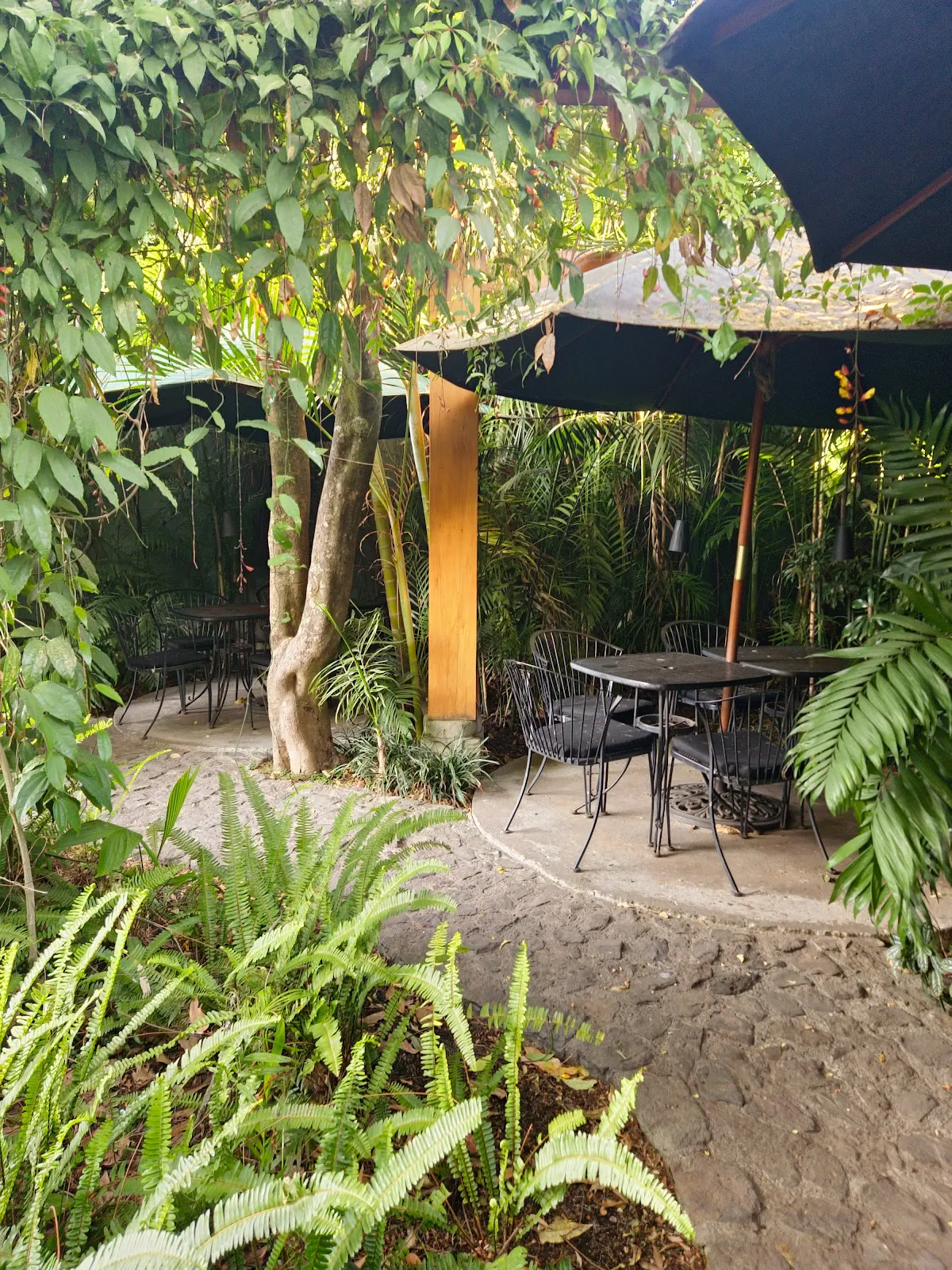 Epicure: A Culinary Gem in Antigua Guatemala - Guatemala, Sacatepéquez - Photo 4