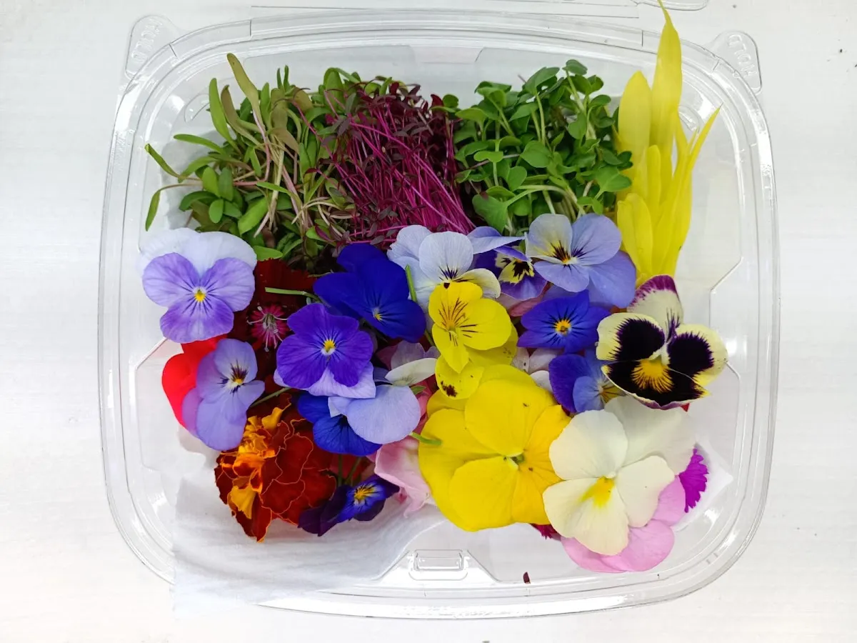 Delicious Flores Que Se Comen: Flor de Pito en Guatemala