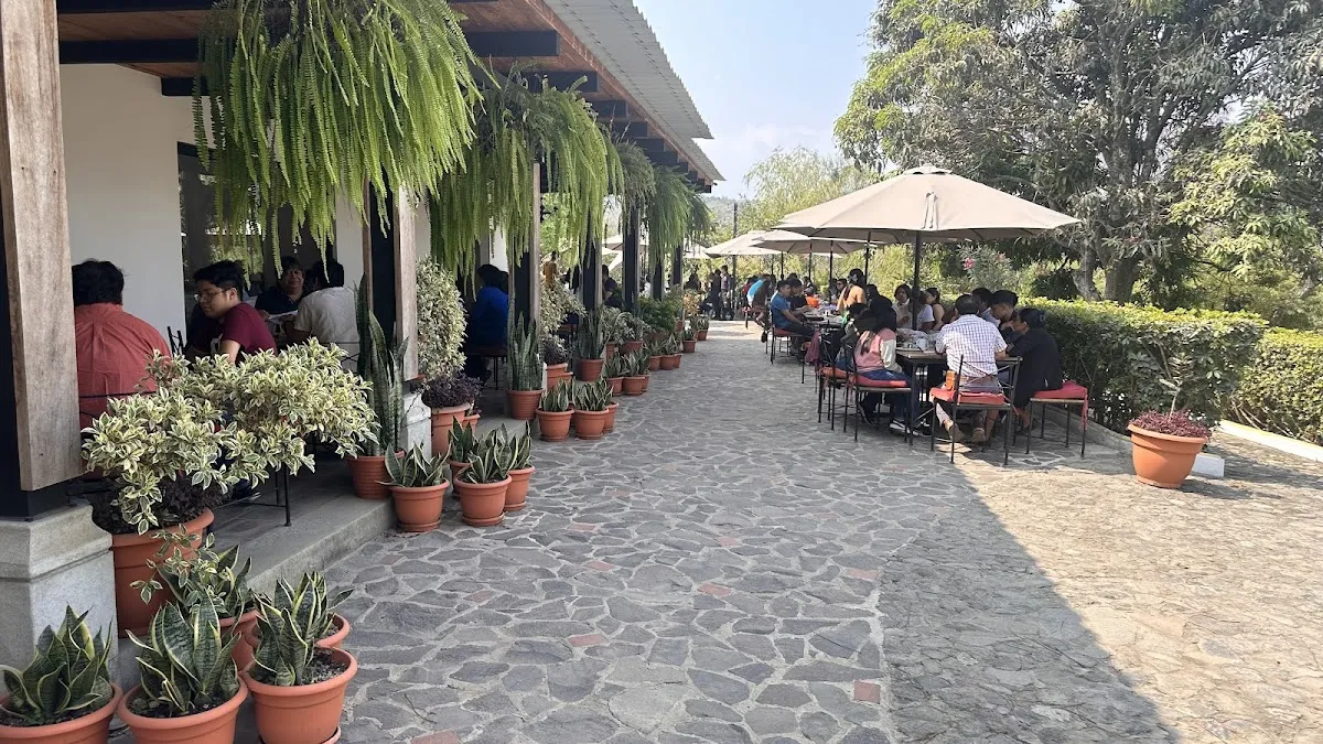 La Hacienda de San Miguel: Sabor y Estilo Colonial