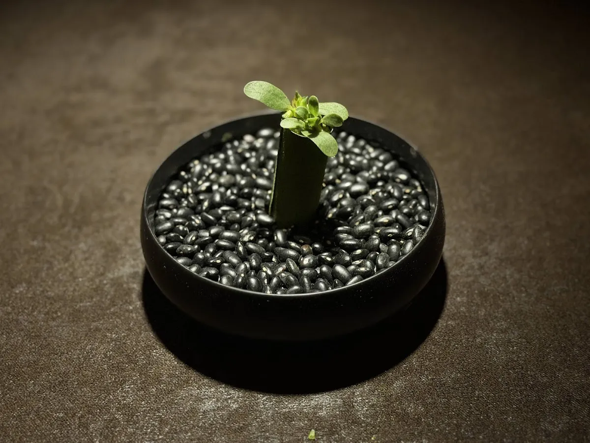 Discover Restaurante Flor De Lis: A Culinary Gem! - Ciudad de Guatemala, Guatemala - Photo 3