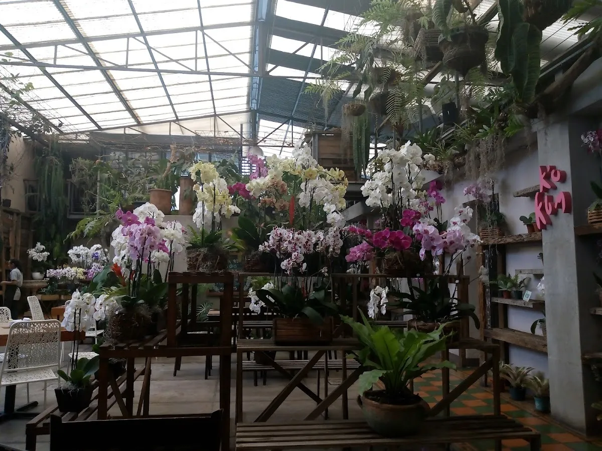 Café Mimi: Tu Restaurante Las Orquideas en Guatemala