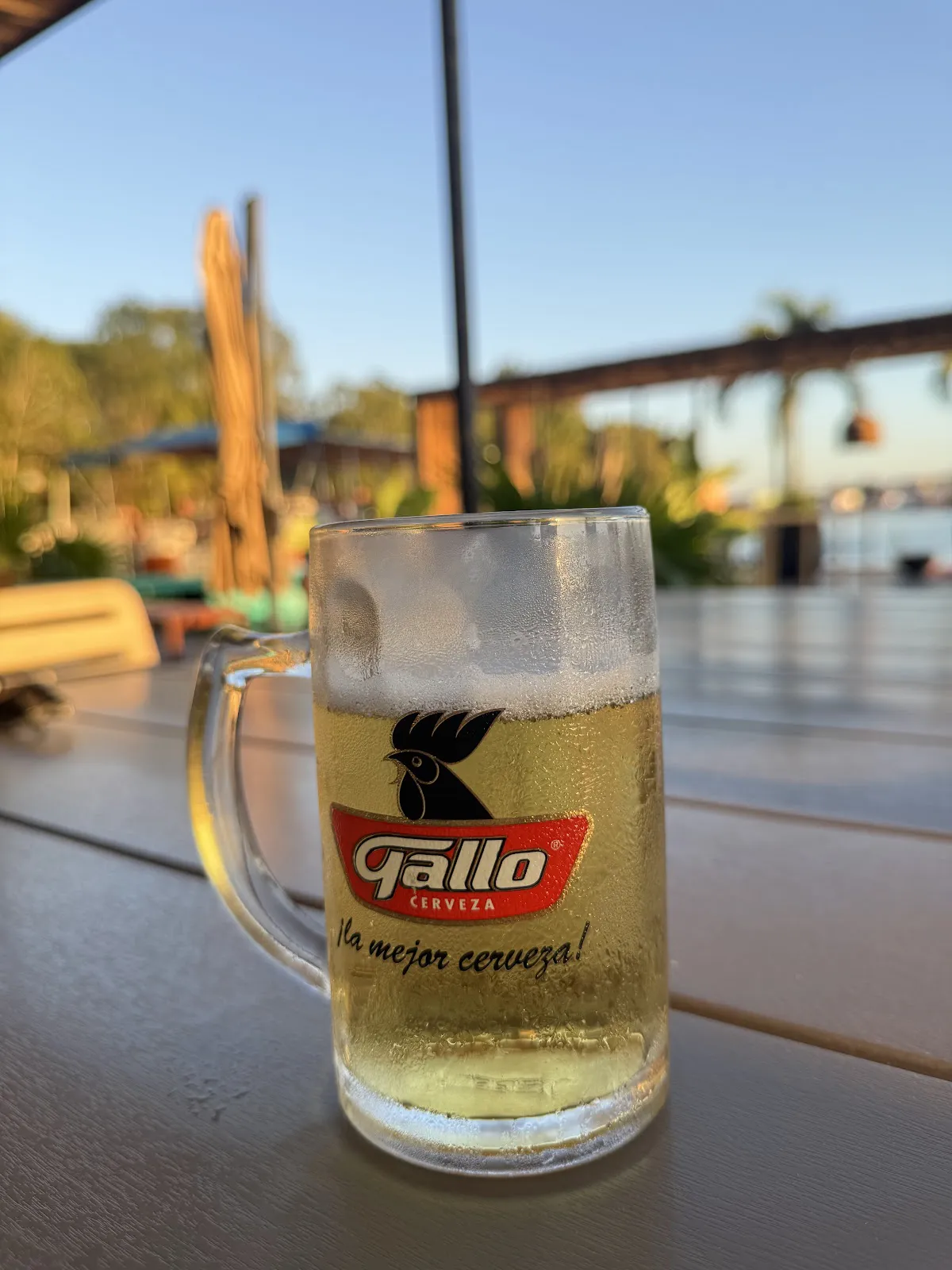 Experience Culinary Bliss at Restaurante Raíces del Lago - Guatemala, Petén - Photo 3