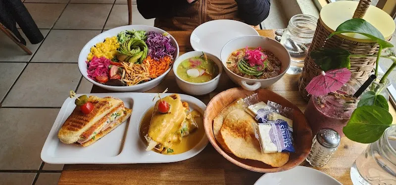 Interior de Palmeira tropical fusion